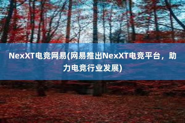 NexXT电竞网易(网易推出NexXT电竞平台，助力电竞行业发展)