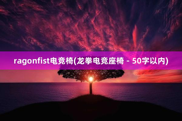 ragonfist电竞椅(龙拳电竞座椅 - 50字以内)