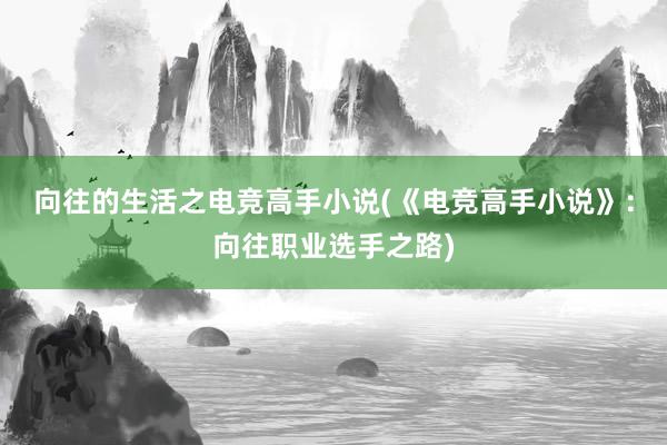 向往的生活之电竞高手小说(《电竞高手小说》：向往职业选手之路)