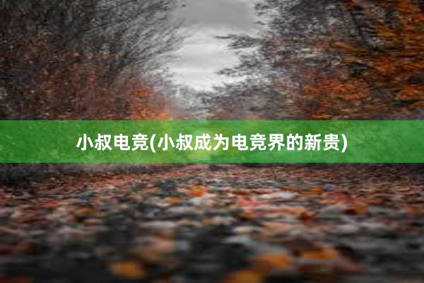 小叔电竞(小叔成为电竞界的新贵)