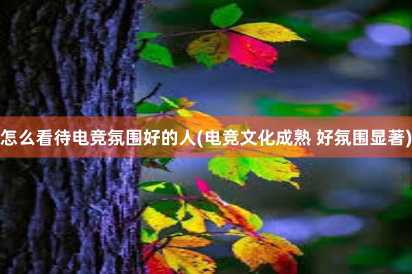 怎么看待电竞氛围好的人(电竞文化成熟 好氛围显著)