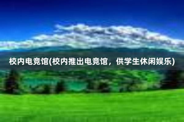 校内电竞馆(校内推出电竞馆，供学生休闲娱乐)