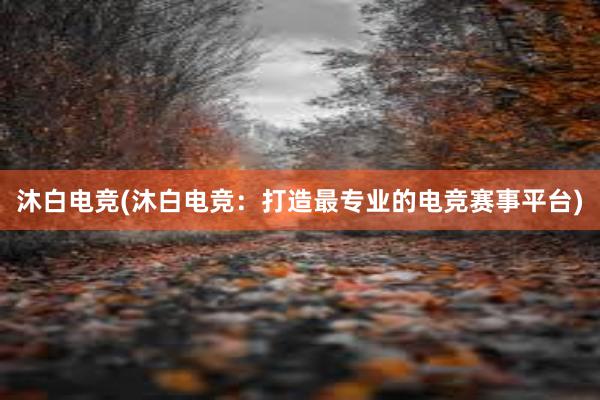 沐白电竞(沐白电竞：打造最专业的电竞赛事平台)