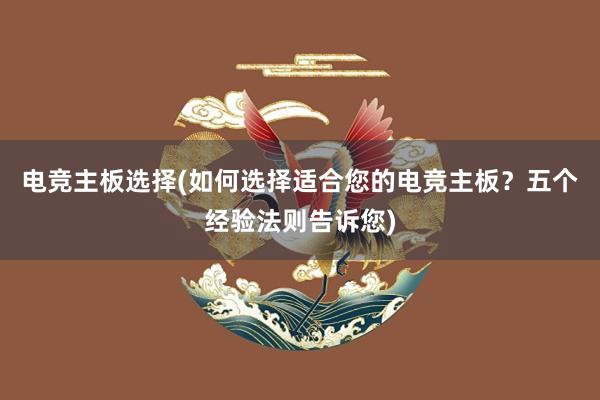 电竞主板选择(如何选择适合您的电竞主板？五个经验法则告诉您)