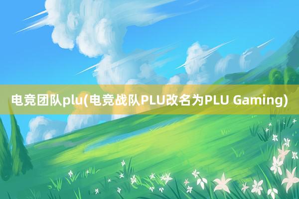 电竞团队plu(电竞战队PLU改名为PLU Gaming)