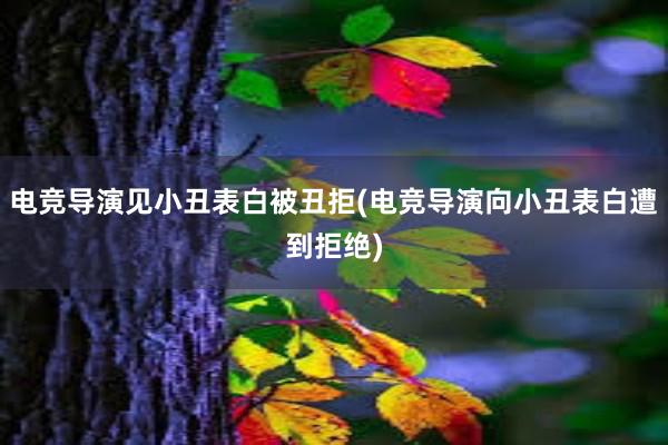 电竞导演见小丑表白被丑拒(电竞导演向小丑表白遭到拒绝)