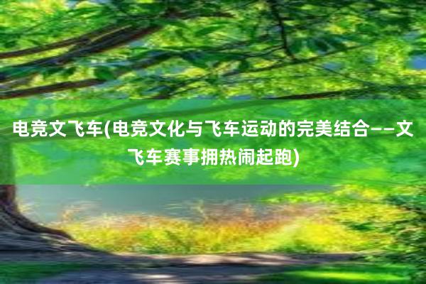 电竞文飞车(电竞文化与飞车运动的完美结合——文飞车赛事拥热闹起跑)