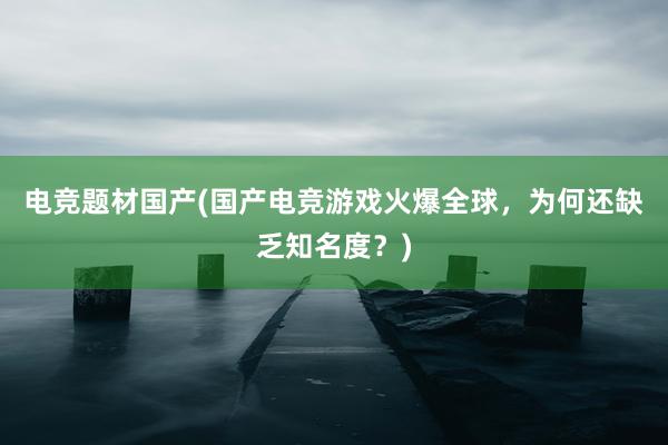 电竞题材国产(国产电竞游戏火爆全球，为何还缺乏知名度？)