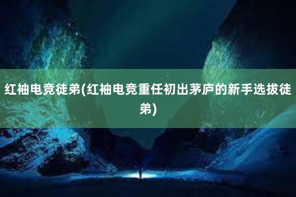 红袖电竞徒弟(红袖电竞重任初出茅庐的新手选拔徒弟)