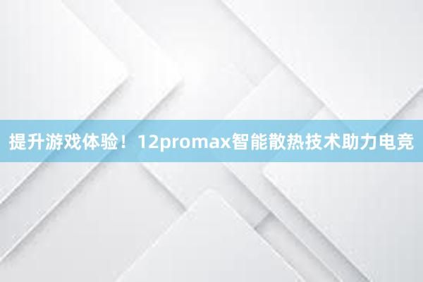 提升游戏体验！12promax智能散热技术助力电竞