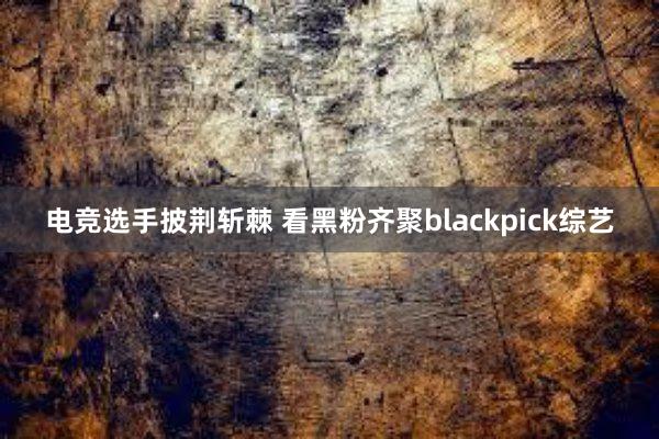 电竞选手披荆斩棘 看黑粉齐聚blackpick综艺