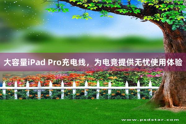 大容量iPad Pro充电线，为电竞提供无忧使用体验