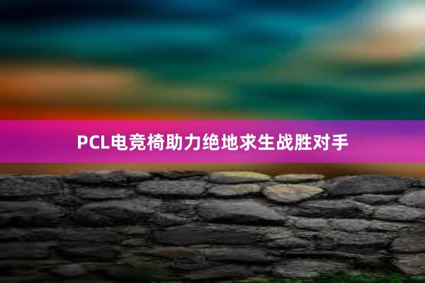 PCL电竞椅助力绝地求生战胜对手