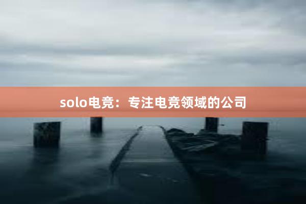 solo电竞：专注电竞领域的公司