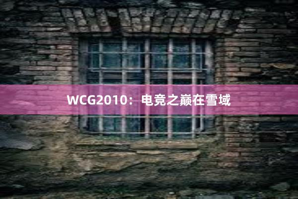 WCG2010：电竞之巅在雪域