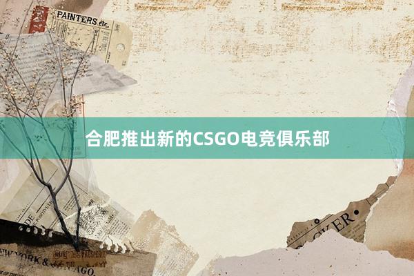 合肥推出新的CSGO电竞俱乐部