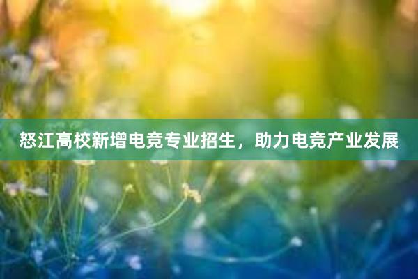 怒江高校新增电竞专业招生，助力电竞产业发展