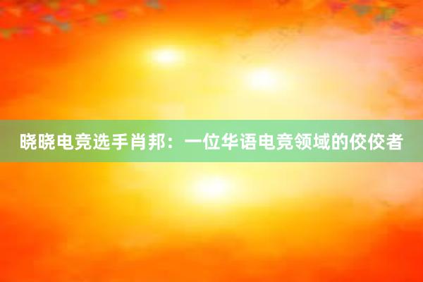 晓晓电竞选手肖邦：一位华语电竞领域的佼佼者