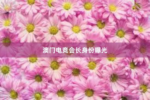 澳门电竞会长身份曝光