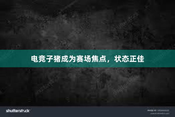 电竞子猪成为赛场焦点，状态正佳