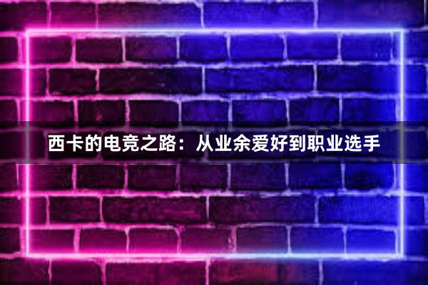 西卡的电竞之路：从业余爱好到职业选手