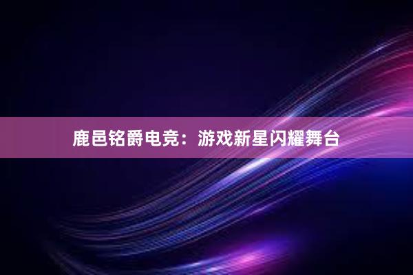 鹿邑铭爵电竞：游戏新星闪耀舞台